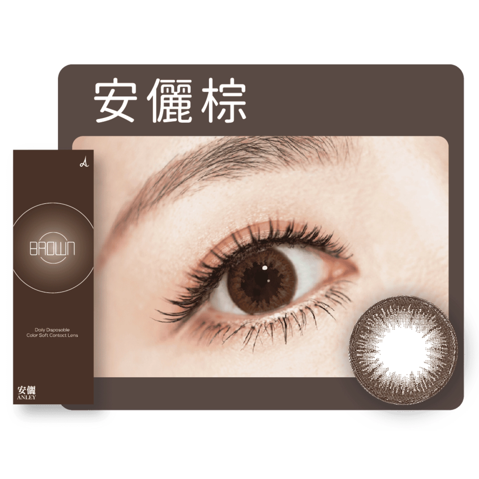 新手美瞳推薦｜ 1. 安儷 ANLEY－放大彩色日拋－棕 BW